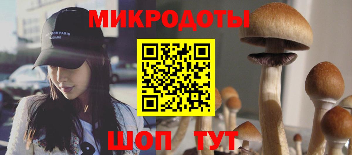 Псилоцибиновые грибы Magic Shrooms  Галлюциногенные грибы ЛСД  Дмитров  Вход с VPN 